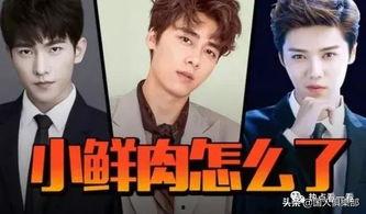 当替身后我年薪上亿,年薪上亿的职场传奇