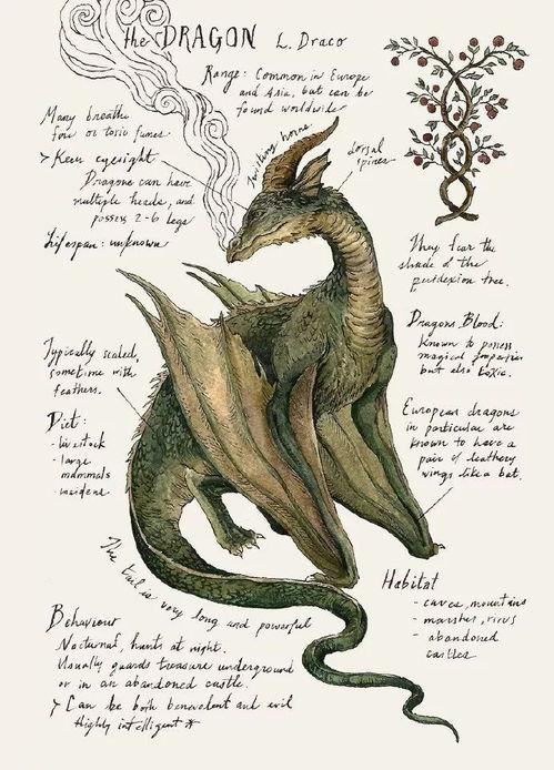 SEIKA之空,探索神秘宇宙的奇幻旅程